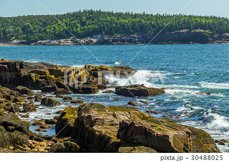 Maine's Rocky Coast 30488025