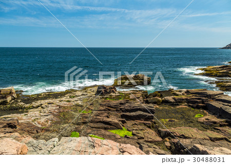 Maine's Rocky Coast 30488031