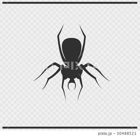spider icon black color on transparent spider icon black color on transparent 30488521