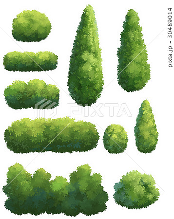 The Shape Of The Tree In The Garden のイラスト素材 30489014 Pixta
