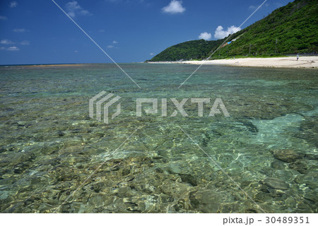 コバルトグリーンの海 30489351