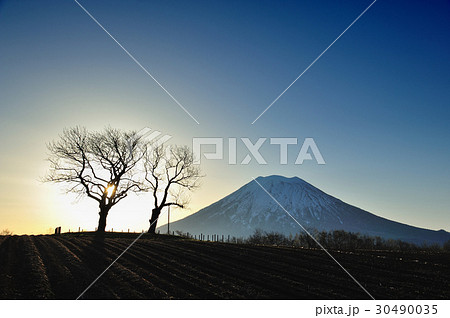 昇陽羊蹄山 30490035