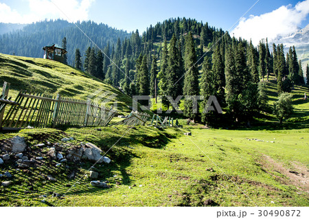 Countryside 30490872