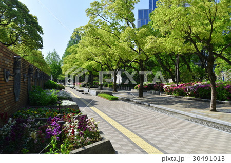 フラワーロード フラワーロード 30491013