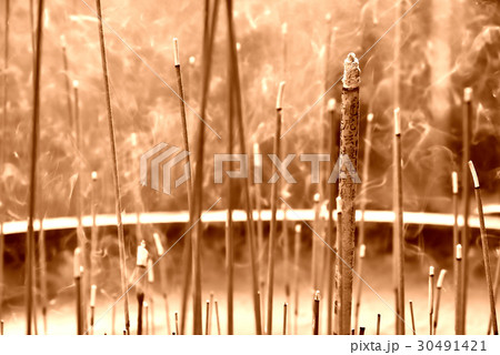 景色 風景 台湾 30491421