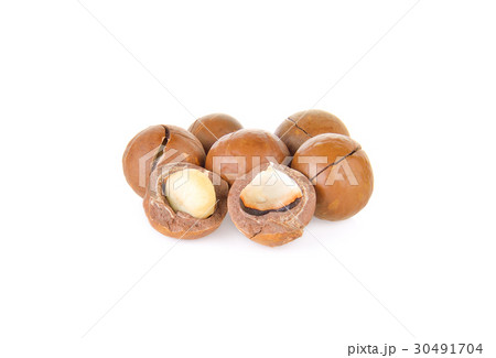 Macadamia nut on white background 30491704