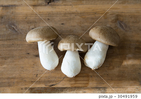 きのこ 本しめじ きのこ 本しめじ 30491959