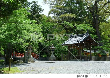 新緑の伊太祁曽神社境内 新緑の伊太祁曽神社境内 30491982