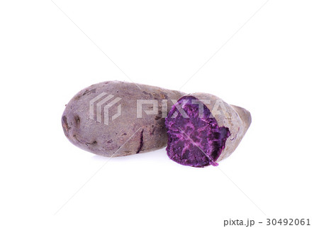 boiled purple yam on whit background boiled purple yam on whit background 30492061