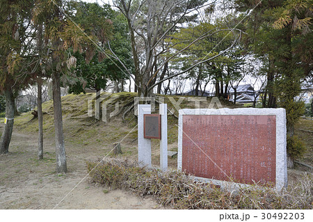 鳥羽離宮跡公園 30492203