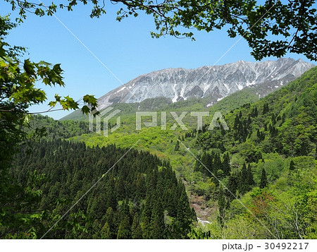 新緑の大山　大山　鳥取 30492217