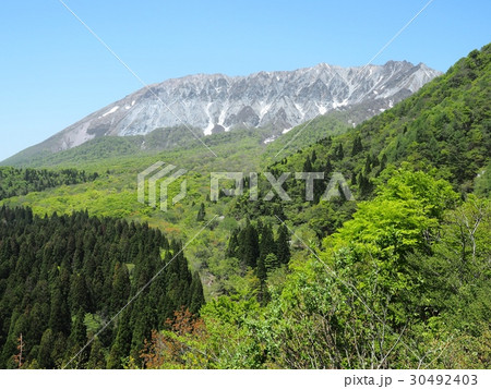 鍵掛峠から見る新緑の大山　大山　鳥取 30492403