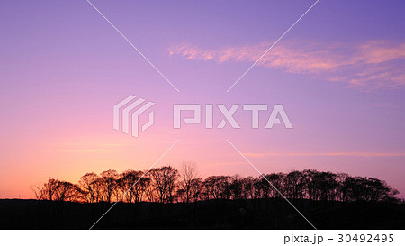 マジックアワー 30492495