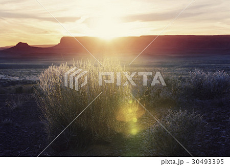 Valley of the Gods Valley of the Gods 30493395