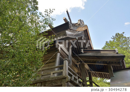 須佐神社　出雲　島根 30494278