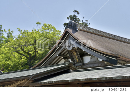 宗像大社 宗像大社 30494281