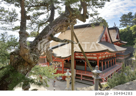日御碕神社　島根 30494283