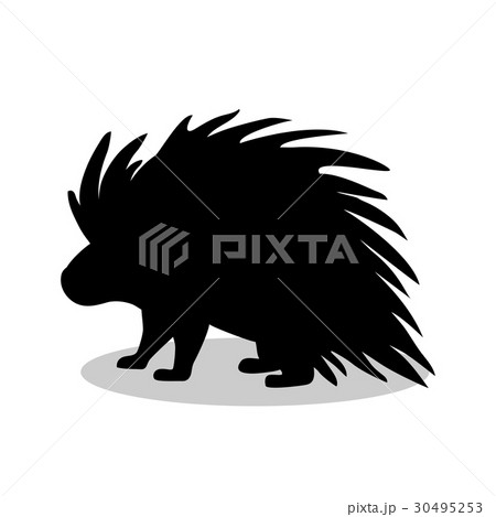 Porcupine rodent mammal black silhouette animal 30495253