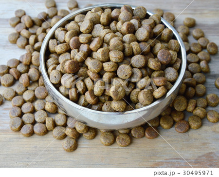 dog food in circle stainless bowl 30495971