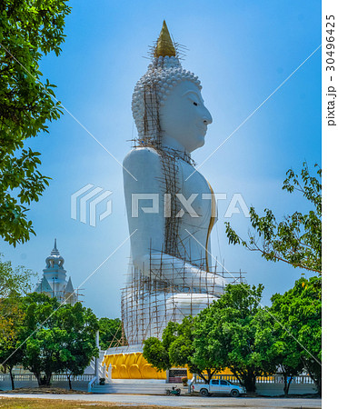 several statues of Buddha posture 30496425