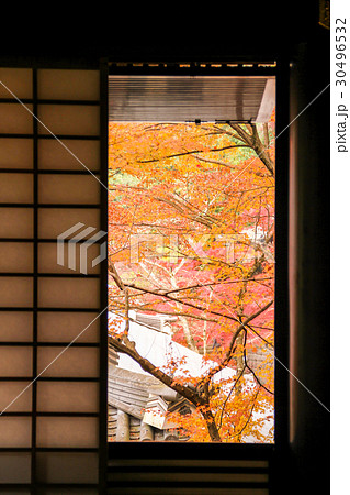 永観堂、本堂・阿弥陀堂の窓を額縁に紅葉 永観堂、本堂・阿弥陀堂の窓を額縁に紅葉 30496532