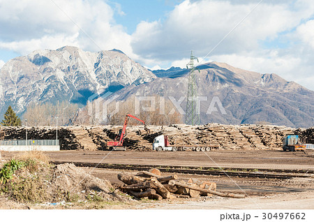 Storage of logs for the wood industry. 30497662