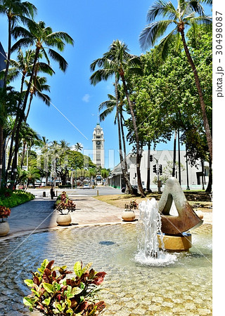 ハワイの休日 30498087