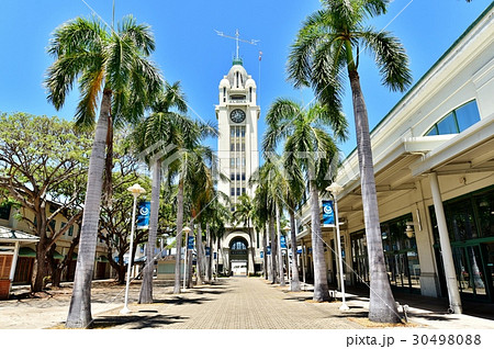 ハワイの休日 30498088