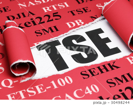 Stock market indexes concept: black text TSE under 30498244