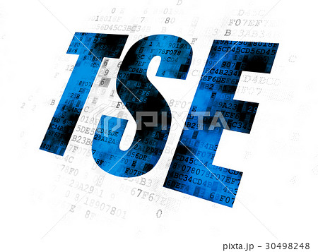 Stock market indexes concept: TSE on Digital 30498248