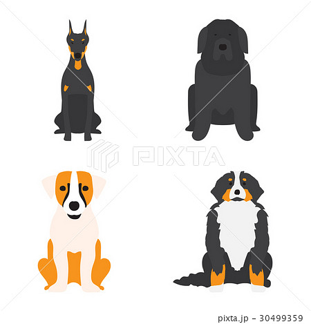 Funny cartoon dog character bread cartoon puppy 30499359