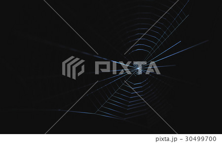 Spider Web 30499700