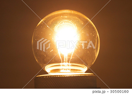 電球 30500160