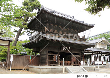 泉岳寺 30500256