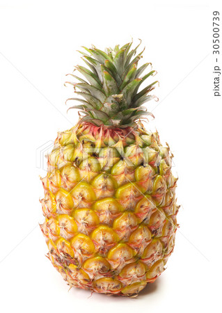 パイナップル(台湾産 屏東県) パイナップル(台湾産 屏東県) 30500739
