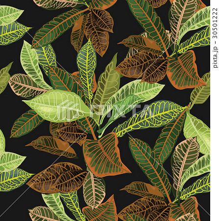 pattern pattern 30501222