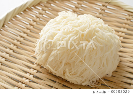 山伏茸 30502029