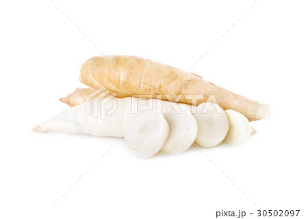 raw arrow-root or maranta on white background 30502097