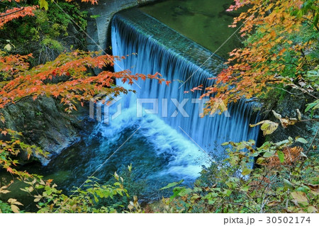 紅葉の鳴子郷 紅葉の鳴子郷 30502174