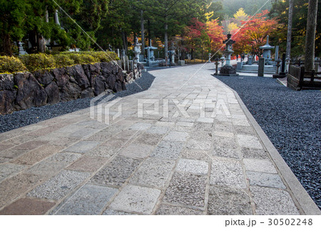 和歌山　高野山　奥の院への道の紅葉 30502248