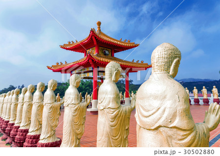 Row of golden Buddha statues 30502880