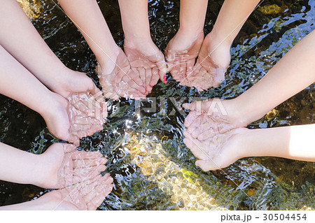 水を掬う子供の手　 30504454