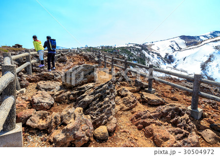 蔵王　蔵王エコーライン駒草平 30504972