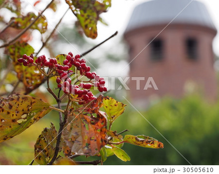 ナナカマドの実とサイロ 30505610