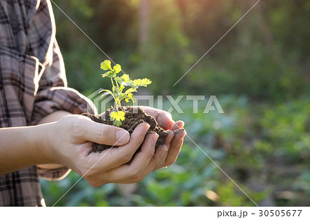 Soil cultivated on hand agriculture concept. Soil cultivated on hand agriculture concept. 30505677