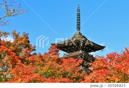 紅葉の定義山 紅葉の定義山 30506825
