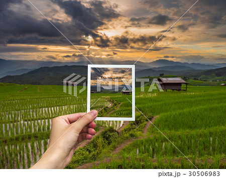 Hand holding Instant photo and view rice sunset. 30506983
