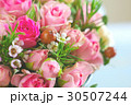 rose flower romance background 30507244