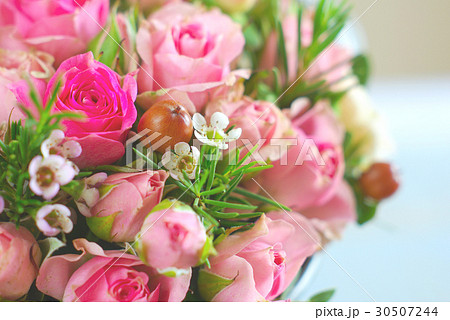 rose flower romance background 30507244