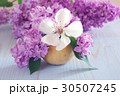 purple white flower spring decoration 30507245